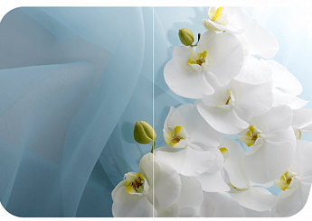 Голубая орхидея Бостон-2 (Брифинг-хром) 