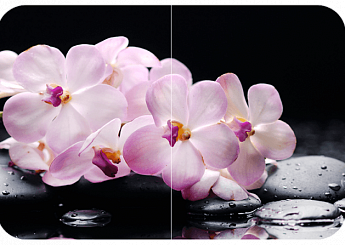 Розовая орхидея Бостон-2 (Брифинг-хром) 