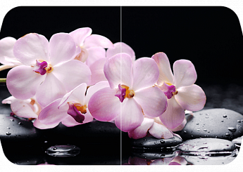 Розовая орхидея Бостон (Триумф-хром) 