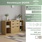 Модуль с дверцей с вырезом