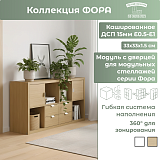 Модуль с дверцей, ручка металл